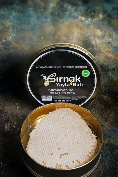 Kara Kovan Çiçek Balı
